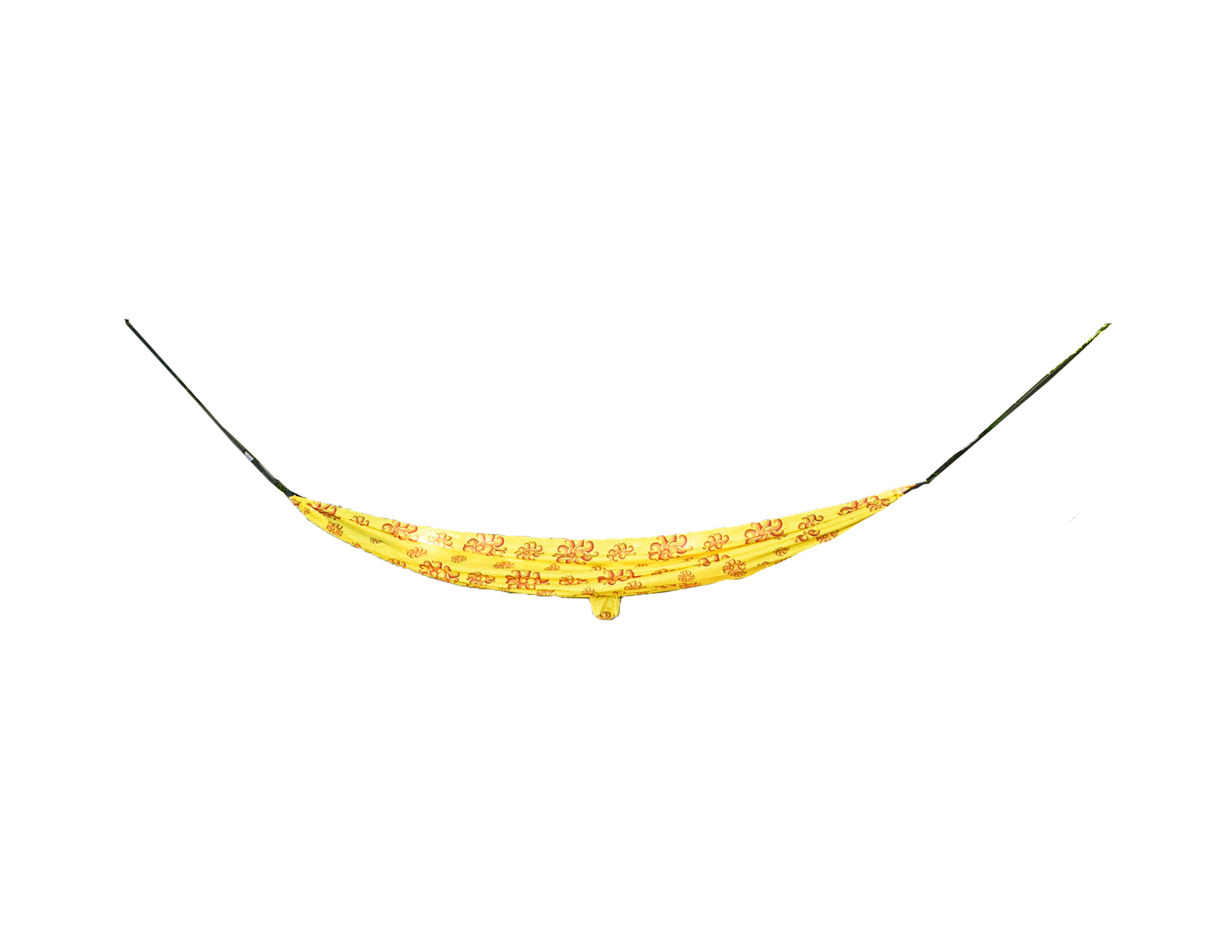 Sunshine Hammock
