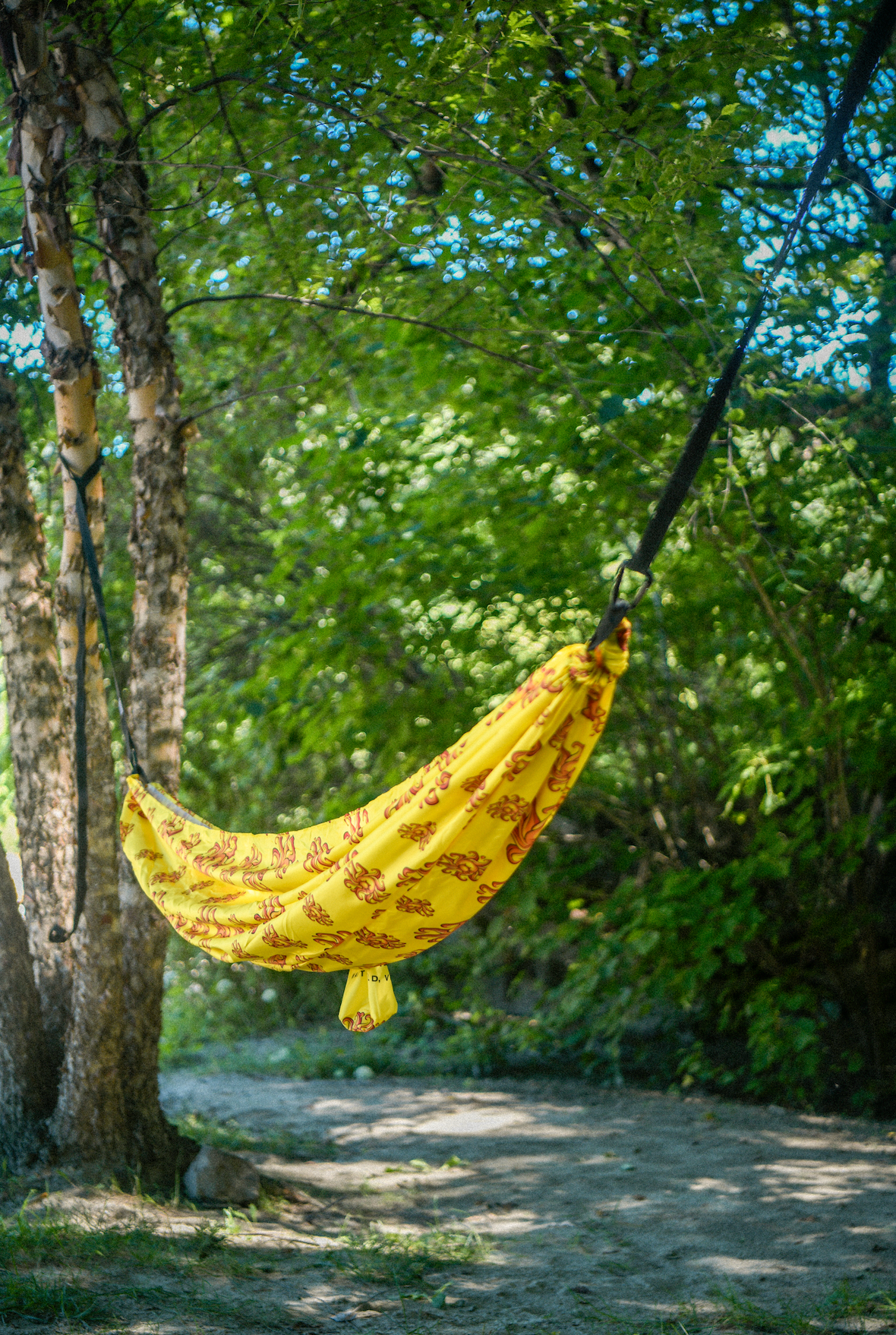 Sunshine Hammock