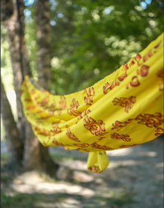 Sunshine Hammock
